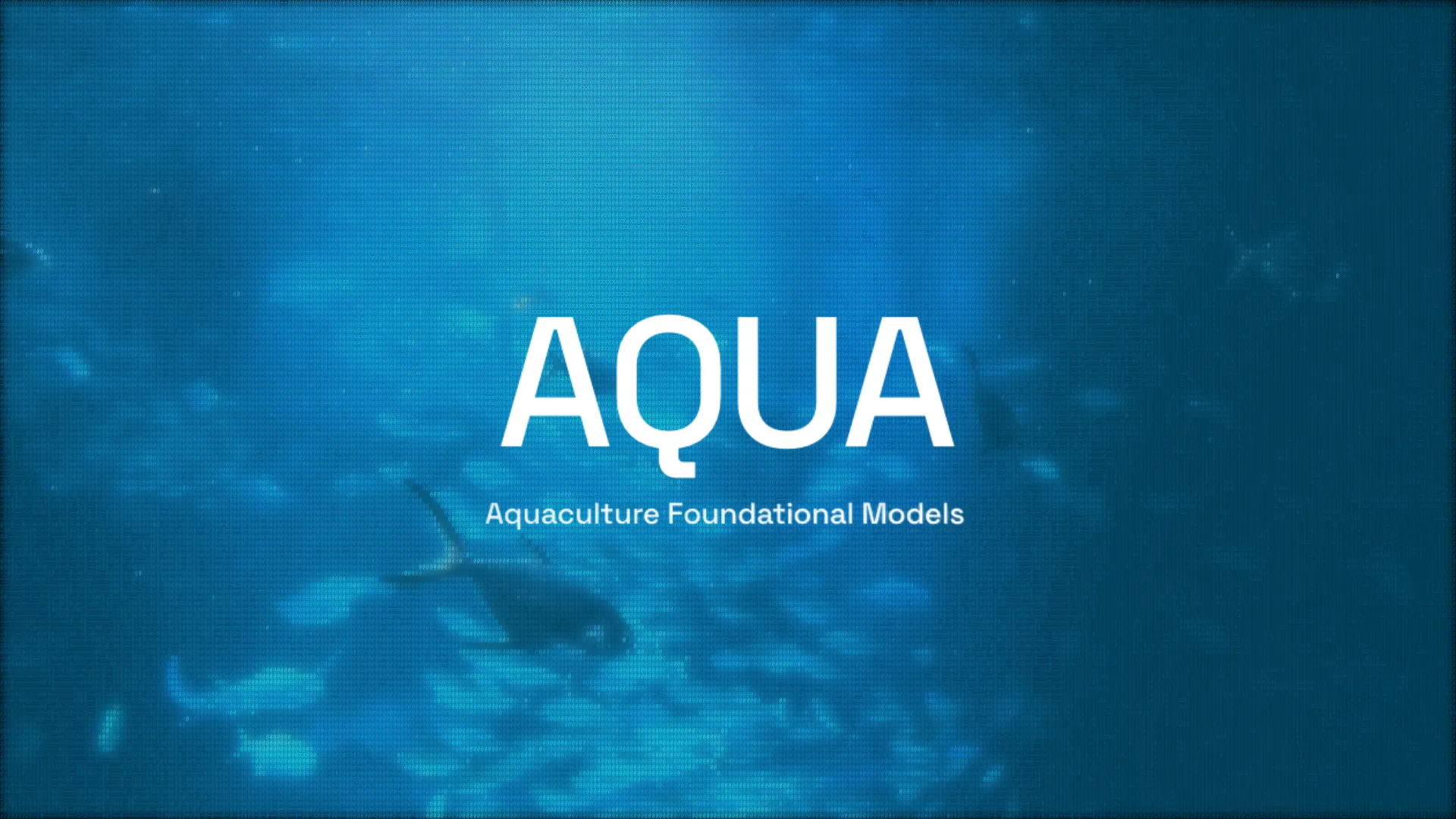 Introducing AQUA-7B & AQUA-1B: The First LLMs for Aquaculture